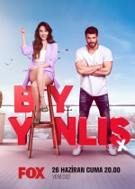 Bay Yanlış poster