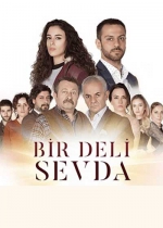 Bir Deli Sevda poster