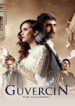 Güvercin poster