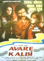 Avare Kalbi poster