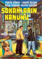 Ayrılık Şarkısı poster