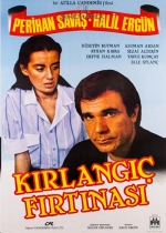 Kırlangıç Fırtınası poster