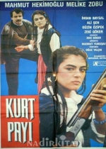 Kurt Payı poster