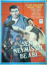 Sen Neymişsin Be Abi poster