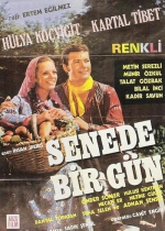 Senede Bir Gün poster