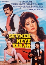 Sevmek Neye Yarar poster