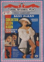 Sokaktan Gelen Kadın poster