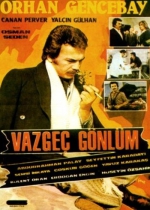 Vazgeç Gönül poster